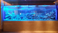 //rnrorwxhmmkrpr5p.ldycdn.com/cloud/pjBmqKmipmSRploqokojkr/How-to-own-Acrylic-Aquariums-Plastic-Fish-aquariums-Leyu.jpg