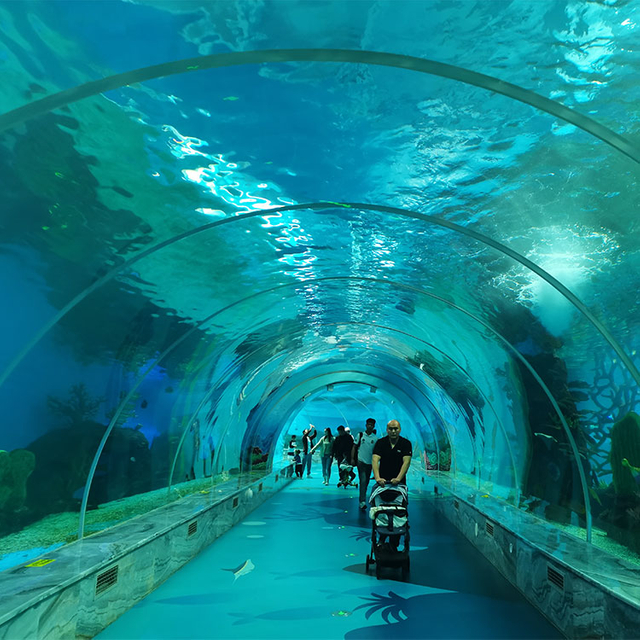 Gro&szlig;er, ultraklarer, gebogener Ozeanarium-Aquarium-Tunnel aus Acrylglas. Leyu Acryl-Aquarienfabrik – Leyu 