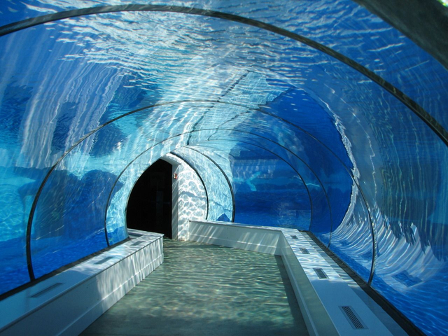 Επισκευή επιφανειακών γρατσουνιών σε Fish Tunnel For Aquarium - Leyu Acrylic Sheet Products Factory