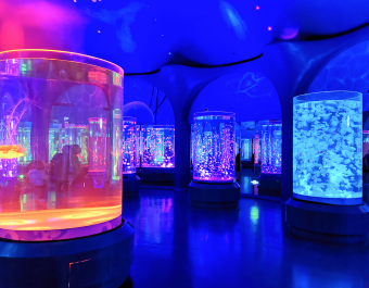 Acryl aquarium