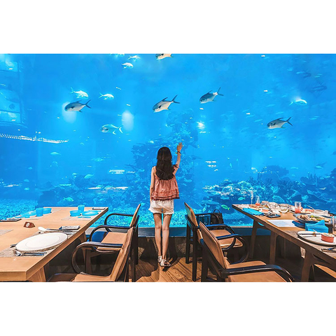Waarom gebruikt Ocean Restaurant acrylpanelen - Leyu Acrylic Sheet Products Factory
