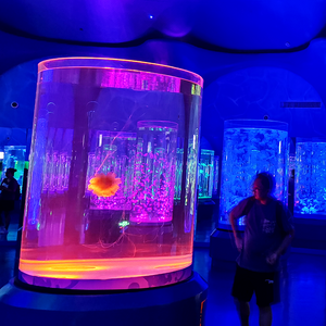 Leyu Acrylic Aquarium Factory បានបញ្ចប់ស្ថាបត្យកម្មអាងចិញ្ចឹមត្រីជាង 70 - Leyu