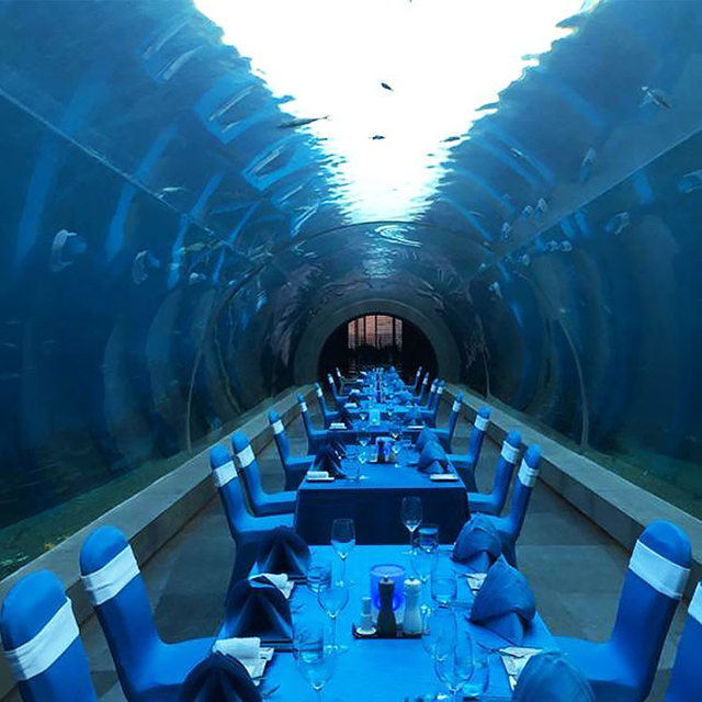 آکواریوم های تونل کوسه زیرآبی Oceanarium در Ocean Park - Leyu Acrylic Sheet Factory