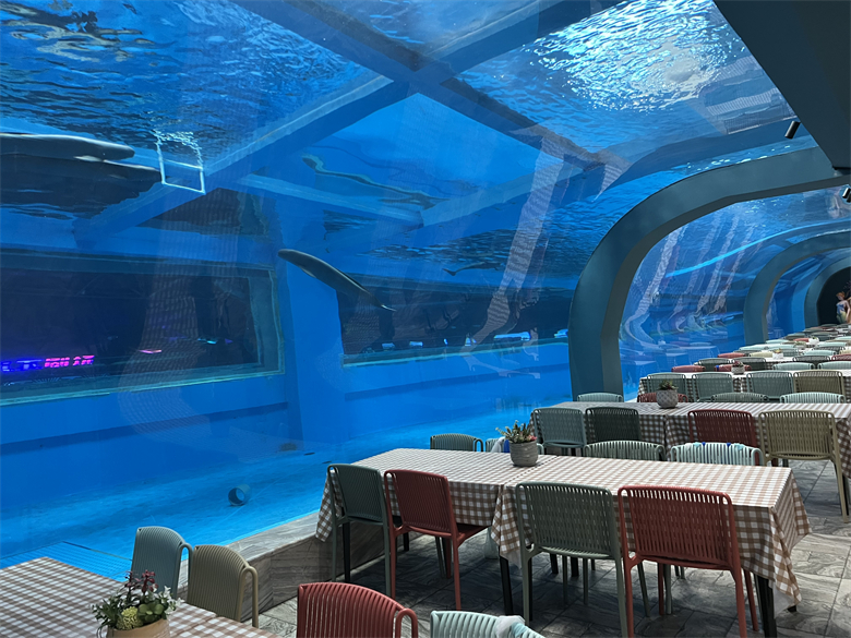 Die Amazing Aquarium Tunnel
